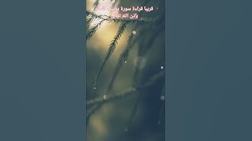 #سورة يوسف «قال إنما أشكو بثي وحزني إلى الله»