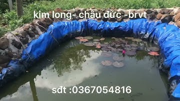đất vườn kim long có nhà cấp 4 giá rẻ , sđt 0367054816