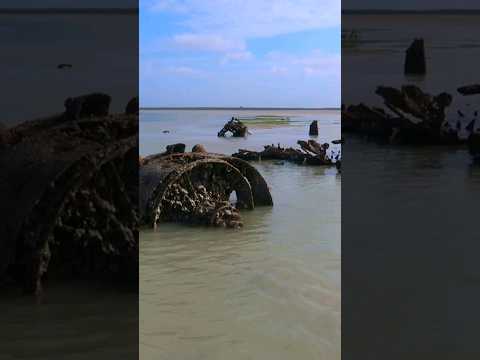 Flying Boat Wrecks
