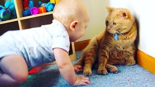 A Cute Baby And A Cat 😹 Adorable Babies Playing With Cats