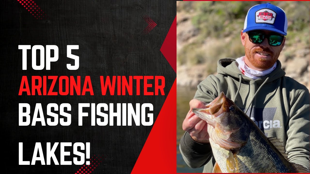 Top 5 Arizona Winter Bass Fishing Lakes