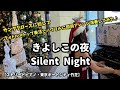 Silent Night を特殊奏法クォドルストップ で即興アレンジ演奏【東京ポートシティ竹芝・ストリートピアノ】