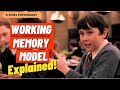 Working memory model explained  aqa psychology  alevel