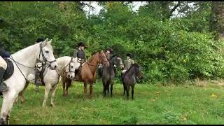 Fantastic mother / daughter share & superb hunting pony!  - ad ref: 299786