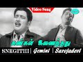 Snegithi tamil movie song  kangal inaidhthu song  gemini ganesan  saroja devi