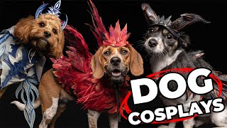 Cosplay for dogs?? Making Final Fantasy dog costumes!