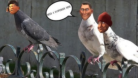 Team Fortress 2 - Bird Scout (infinite jumps exploit)(Fixed)