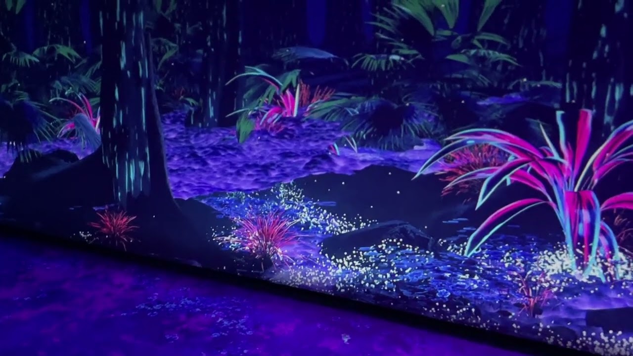 COSMO AV - Cinémathèque James Cameron