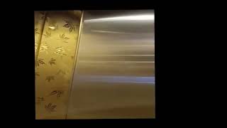 OZONE ELEVATORS