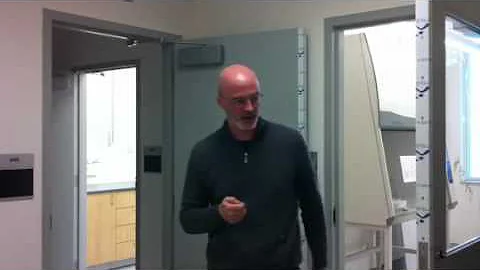 Vince Rotello's Research