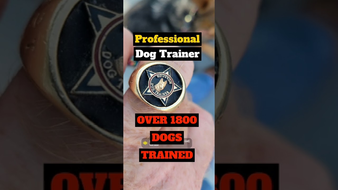 TOP NOTCH DOG TRAINING COMPANY IN TEXAS CYPRESS 8328454680 HOUSTON