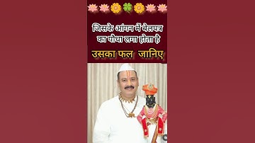 जिसके आंगन में बेलपत्र का पौधा लगा होता है#pradeepmishra #upay #trending #shortsfeed