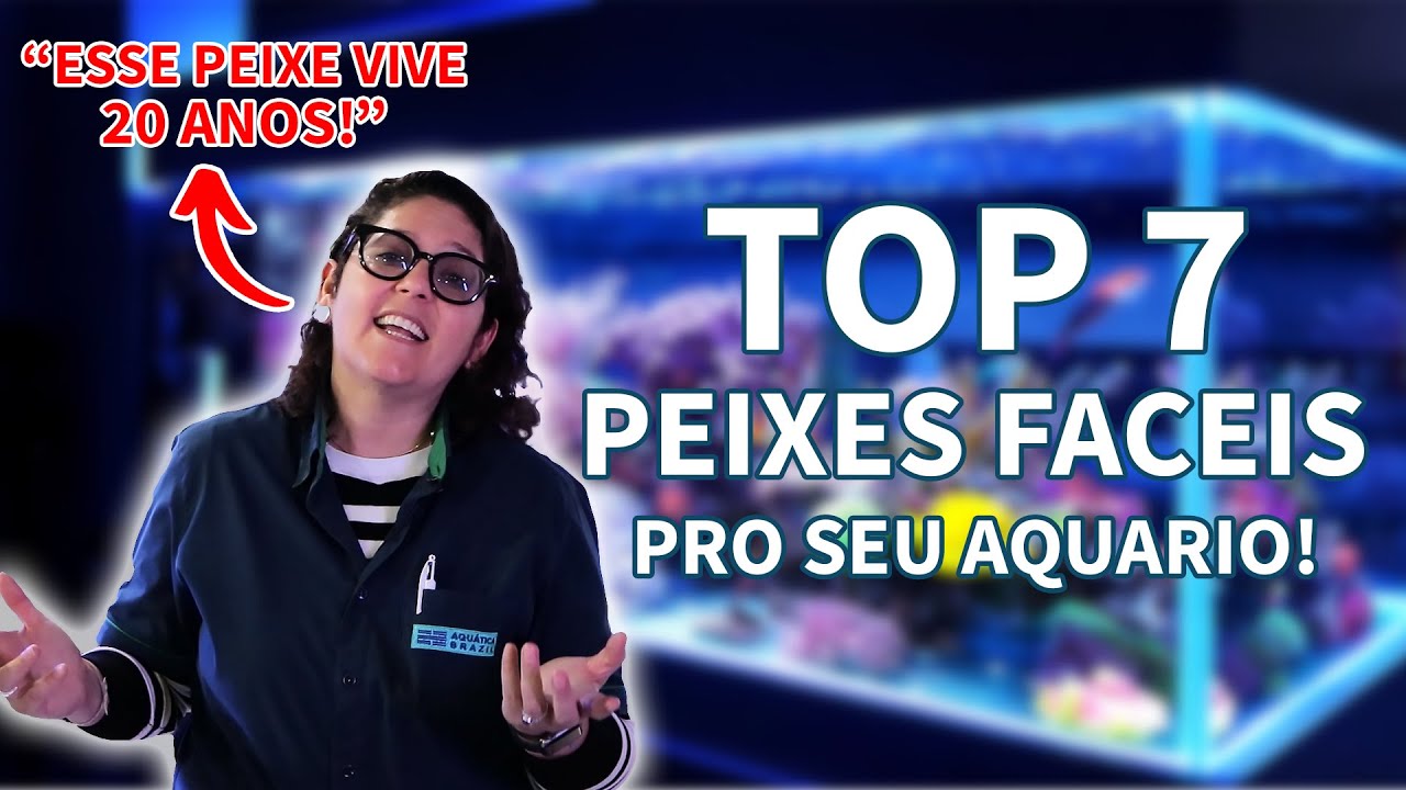 PEIXES MAIS FACEIS PARA CUIDAR NO AQUARIO TOP 7 - SEU AQUARIO LINDO, SIMPLES E FACIL Aquatica Brazil