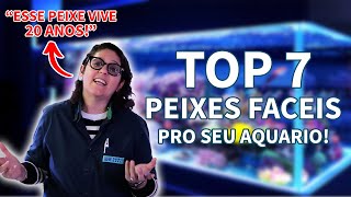 PEIXES MAIS FACEIS PARA CUIDAR NO AQUARIO TOP 7  SEU AQUARIO LINDO, SIMPLES E FACIL Aquatica Brazil
