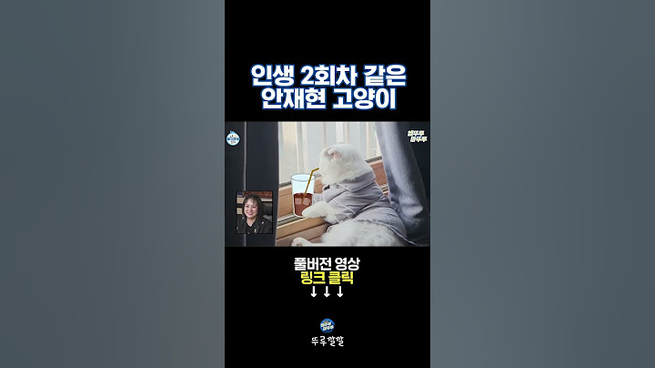 ※귀여움 주의※ 다리 꼬고 창 밖 보는 고양이 안주🐈 [뚜루깔깔] #나혼산 #shorts