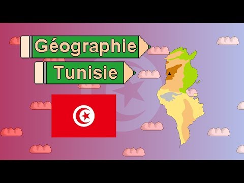 Vidéo: Quel Pays La Tunisie
