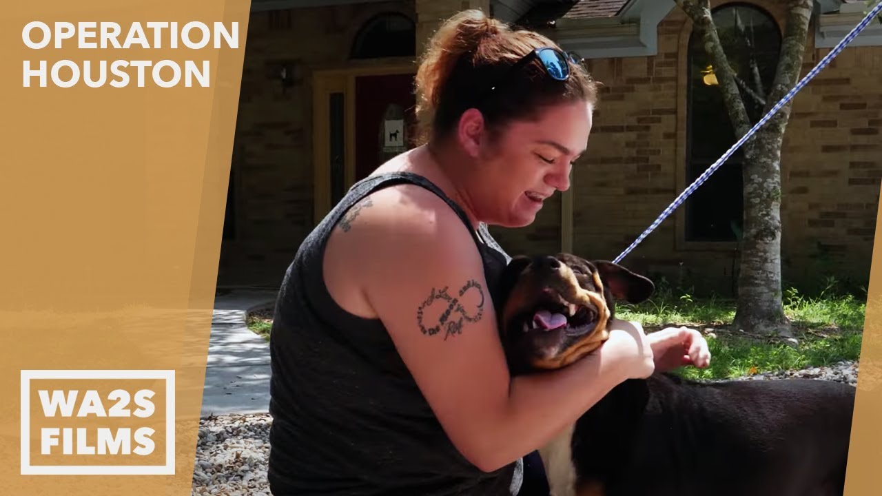 puppy paradise This Woman Couldn't Get Her Dogs Back From Houston SPCA After Hurricane - Hope For Dogs | My DoDo