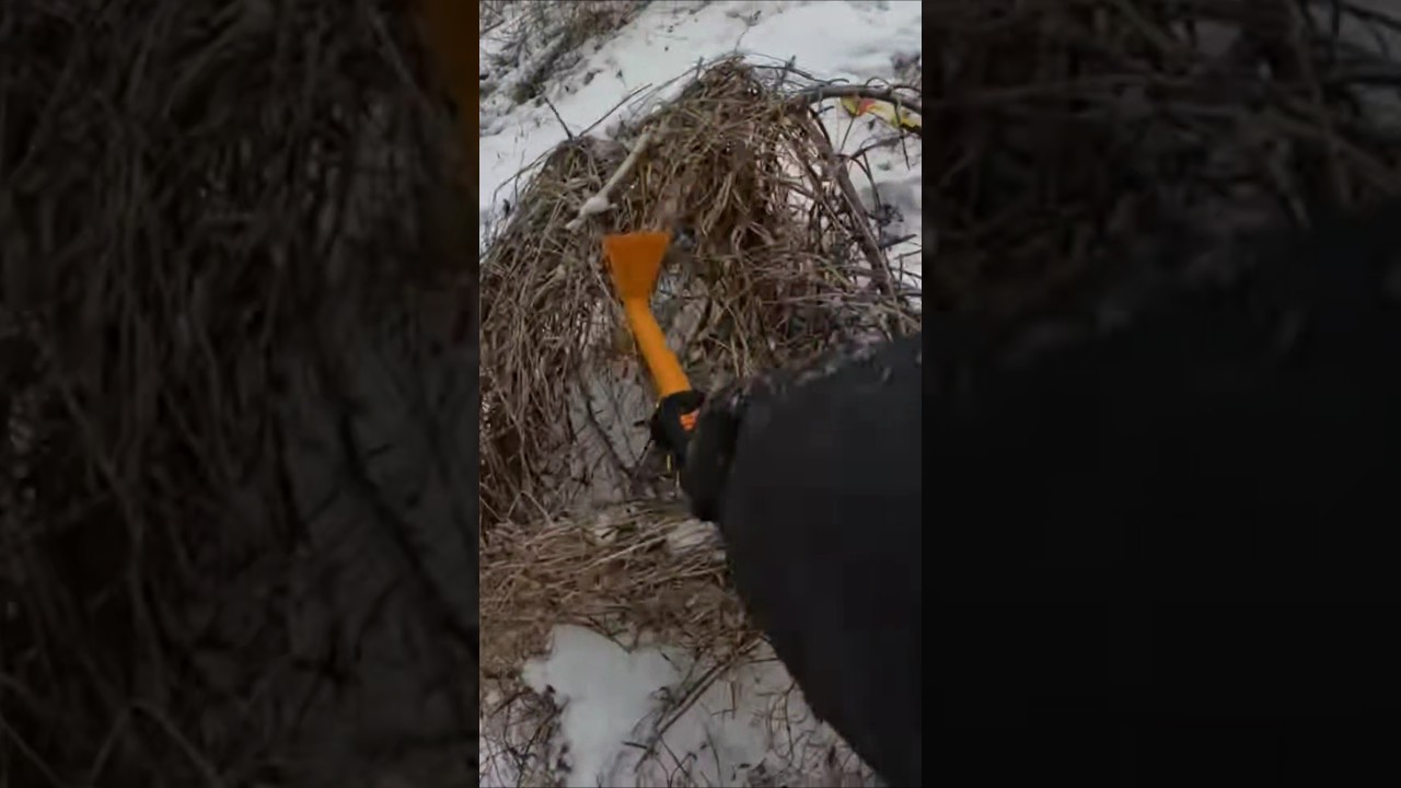 Useful Winter Finding 🥶