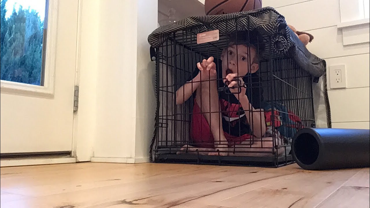 Trapped in a dog cage for 12 minutes - YouTube