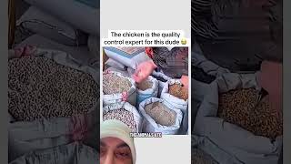 If the food is good enough for a chicken it’s good enough for you