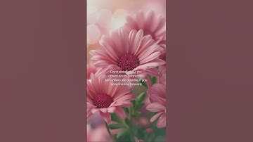 Keep moving forward.