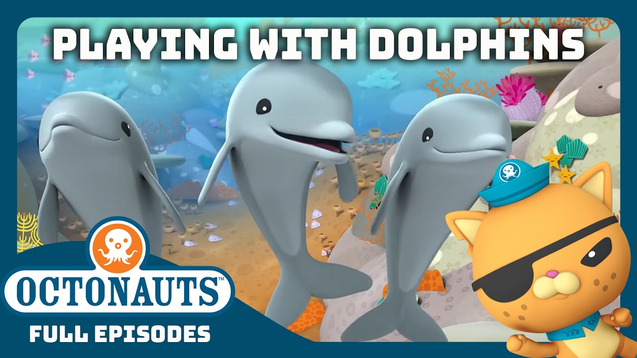 @Octonauts - 🤿 The Dolphin Games 🐬 | 1 Hour+ Full Episodes Marathon ...