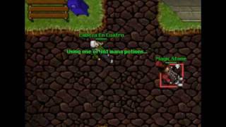 Tibia War 8.42