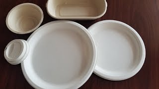 Automatic Sugarcane Pulp Molding Tableware  Food Tray Making Machine 4