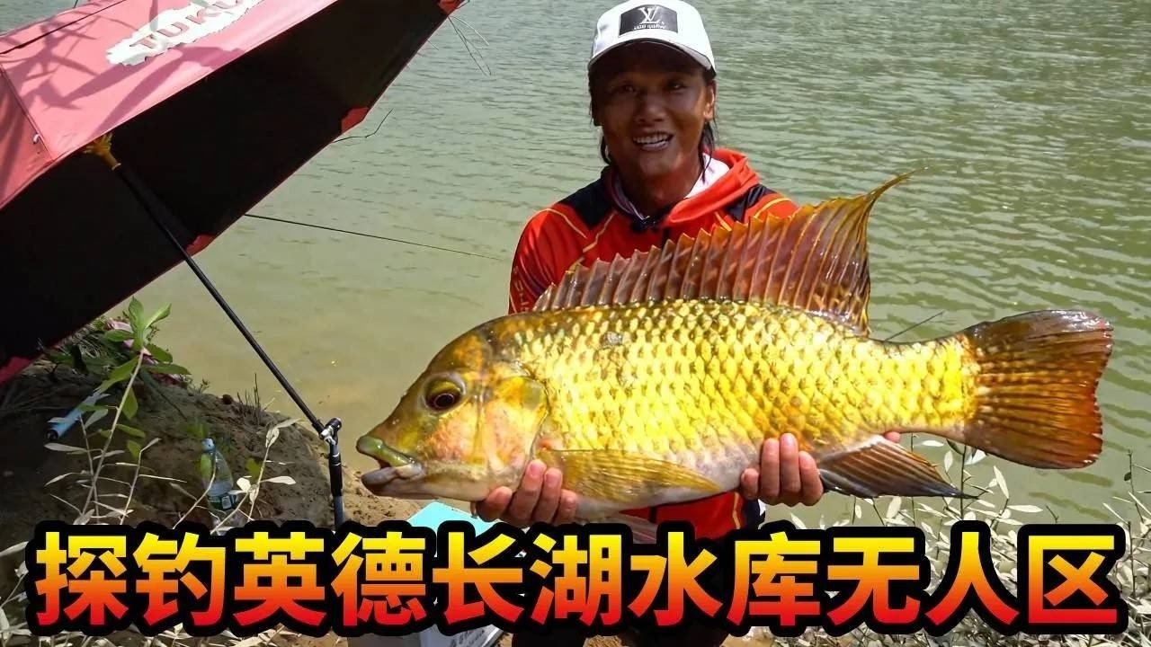 探钓英德长湖水库无人区，竟然遇到钓友车子打窝窝，然后人也打窝了，野钓还是要注意安全阿#游钓黑坑  #野钓 #钓鱼人就是这么疯狂