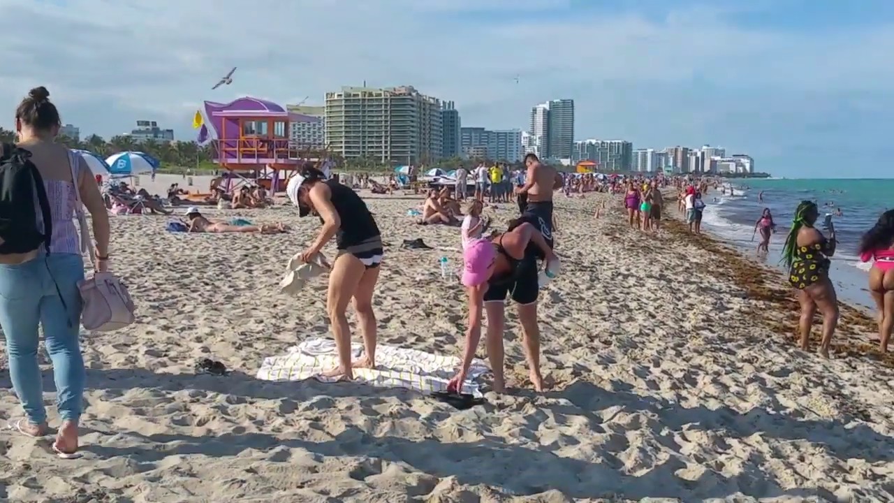 spring break miami spring break miami
