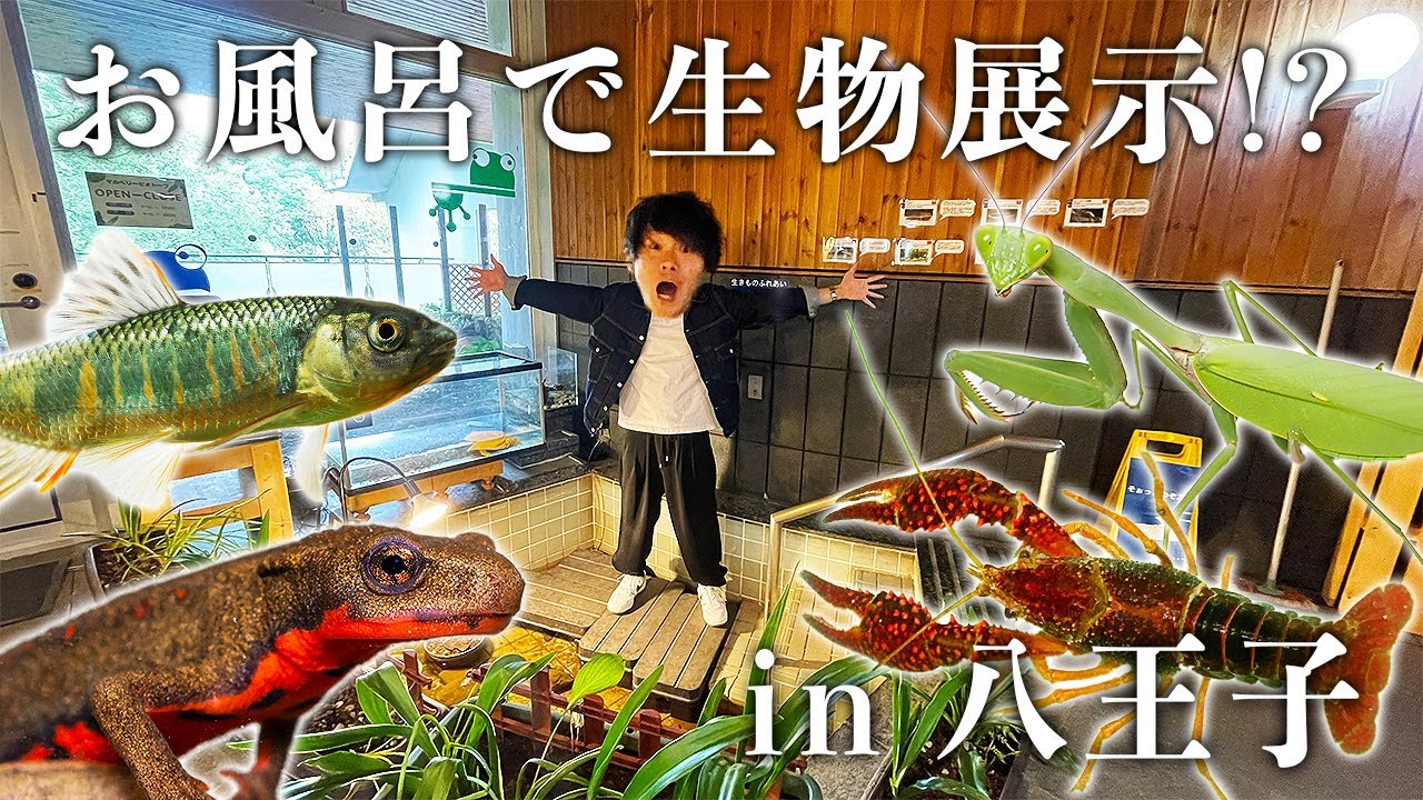 お風呂だった場所で80種類の生物を展示する施設を紹介します
