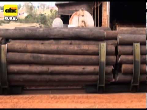 Video: Por qué es necesaria la impregnación de madera