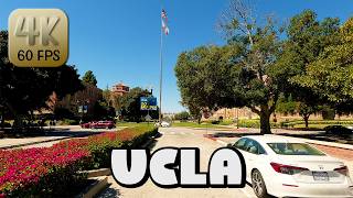 Driving Around UCLA Campus in Los Angeles, California in 4k Video News