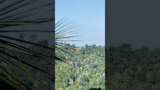 There is people living over there nowhere #youtubeshorts #shorts #viral #nature #jungle #naturelover