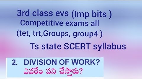 3rd class evs ts scert syllabus / division of work