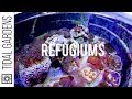 Refugiums For The Reef Aquarium Refugiums For The Reef Aquarium
