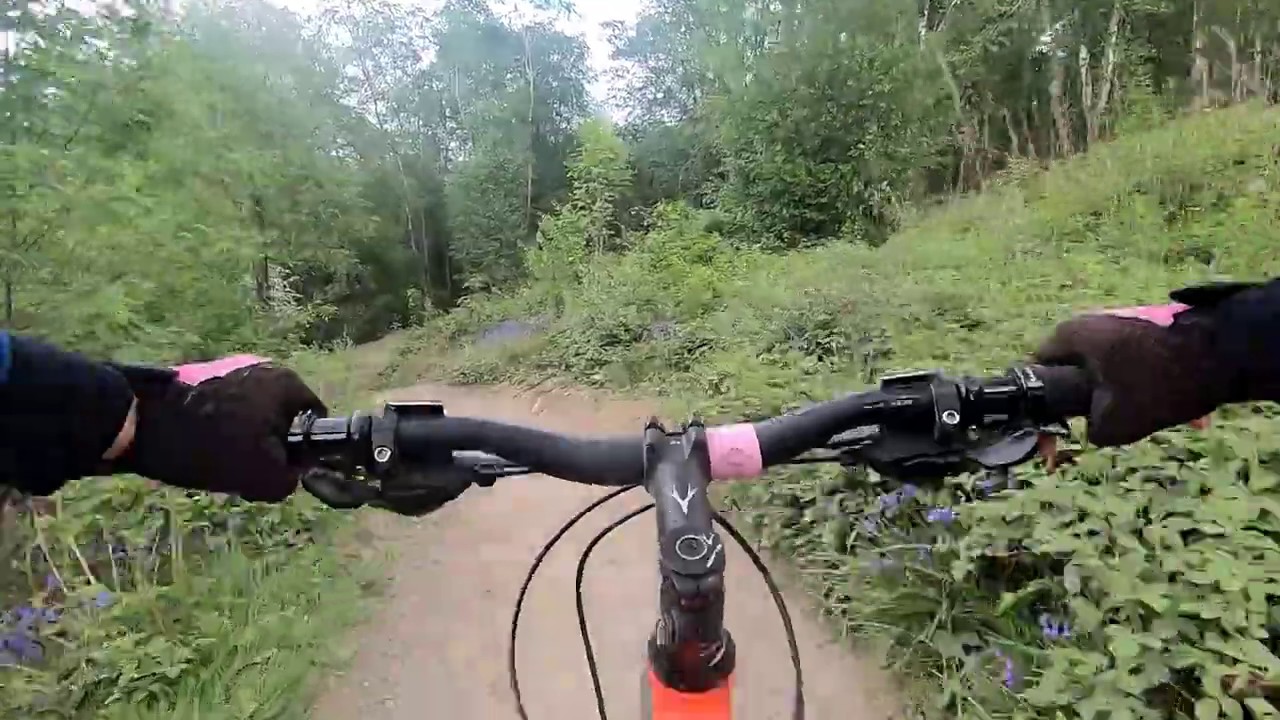 BikePark Wales - Route to uplift