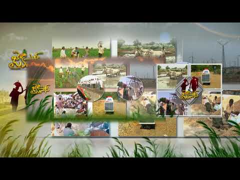 ETV Jaikisan Live Stream