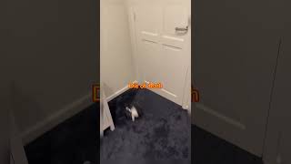 I still have more things coming 😭