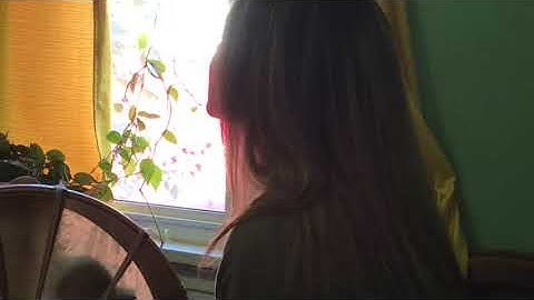 The Coldest Night by Love Like Thieves