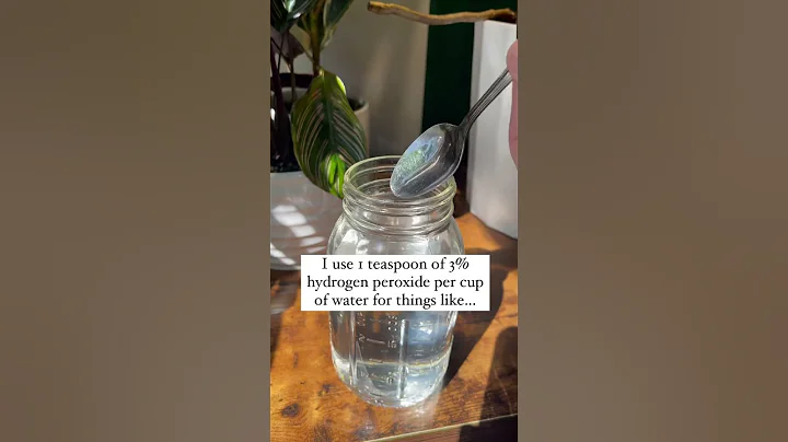 Have you tried hydrogen peroxide for your plants before? #houseplants #plantcare #plantsofyoutube