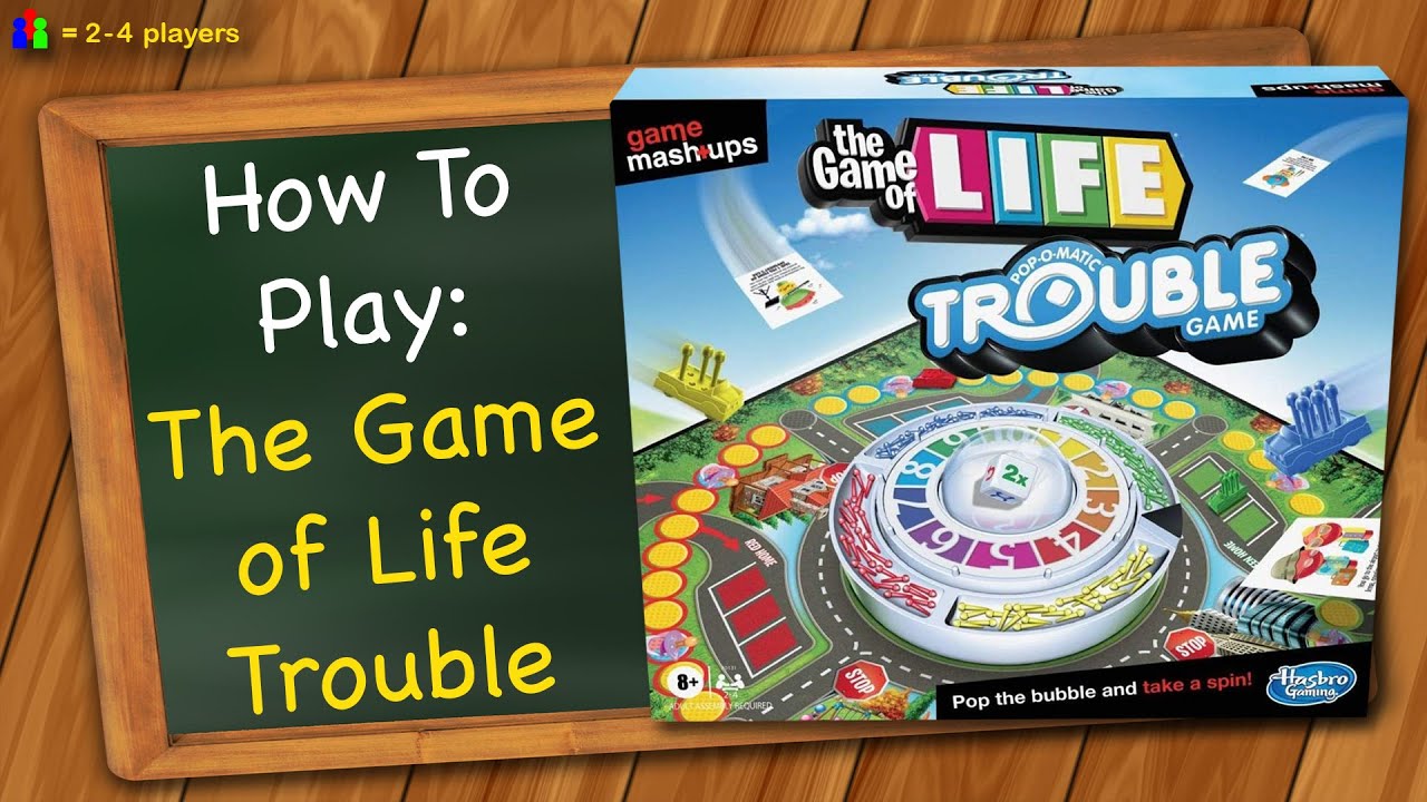 The Game of Life Instructions - Hasbro