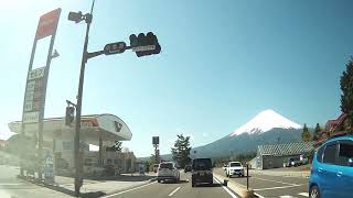 Monte Fuji - Shibazakura