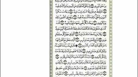 مؤثر سلمان العتيبي سورة ق كاملة