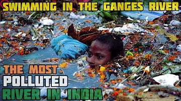 ¿Cuál es el estado más contaminado de la India?