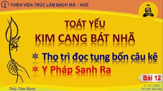 Toát Yếu KCBN_12_Thọ Trì Đọc Tụng Bốn Câu Kệ_Y Pháp Sanh Ra_Audio_Thích Tâm Hạnh