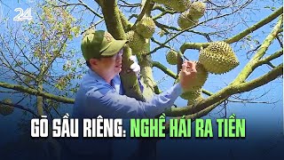 Gõ sầu riêng: nghề hái ra tiền | VTV24