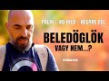 BELEDÖGLÖK VAGY NEM ... ? - PALIK + 40 KILÓ + HEGYRE FEL / Futtában / Palikék Világa by Manna