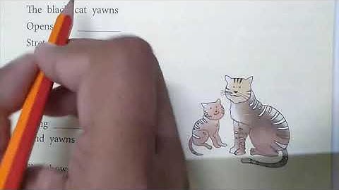 Class 3rd, Subject English Reader Together with Essence Term 2, Chapter 3, Lecture 2, Topic Lions