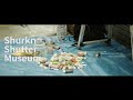 Shurkn Shutter Museum | BGM : Small Town, Big Dreams (feat. tofubeats)